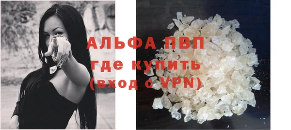 гашик Вязьма