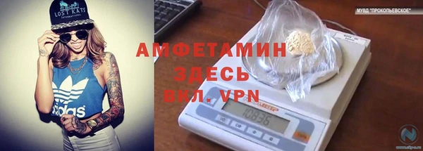 винт Вяземский