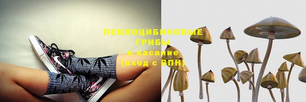гашик Вязьма