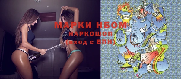 гашик Вязьма