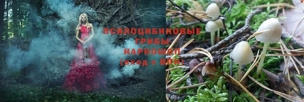 гашик Вязьма