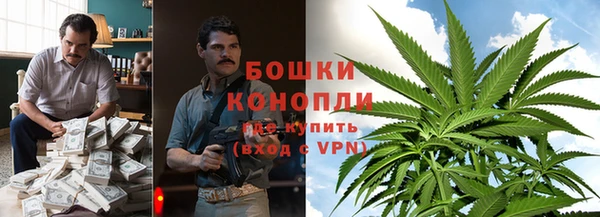 винт Вяземский