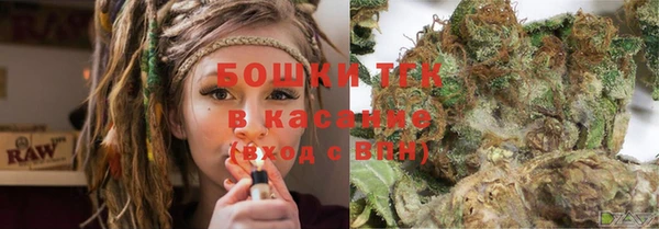 винт Вяземский