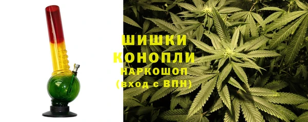 гашик Вязьма