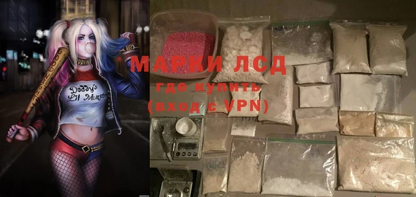 гашик Вязьма