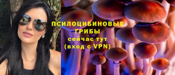 винт Вяземский