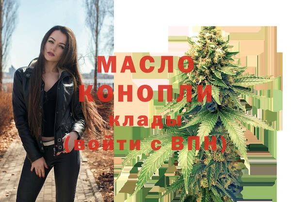 гашик Вязьма