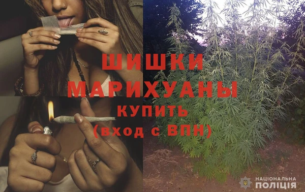 винт Вяземский