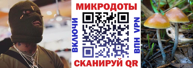 Купить  Баймак  Галлюциногенные грибы Magic Shrooms 