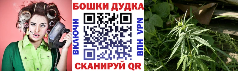 Купить где  Баймак  Канабис THC 21% 